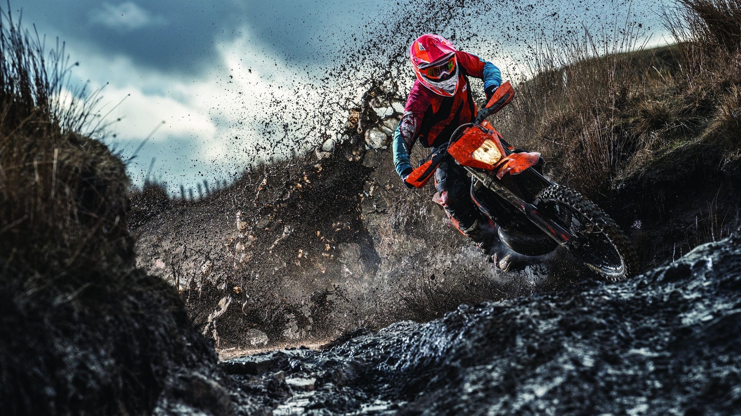 AYX GAME-逆境崛起：曾经的“垫底队”如何逆转成季后赛热点？，逆境中崛起